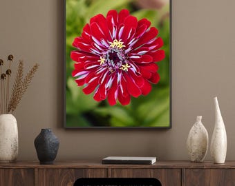 Digital Download Flower Photography – High Resolution Botanical Wall Art Print