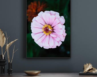 Blumen-Digitalfoto