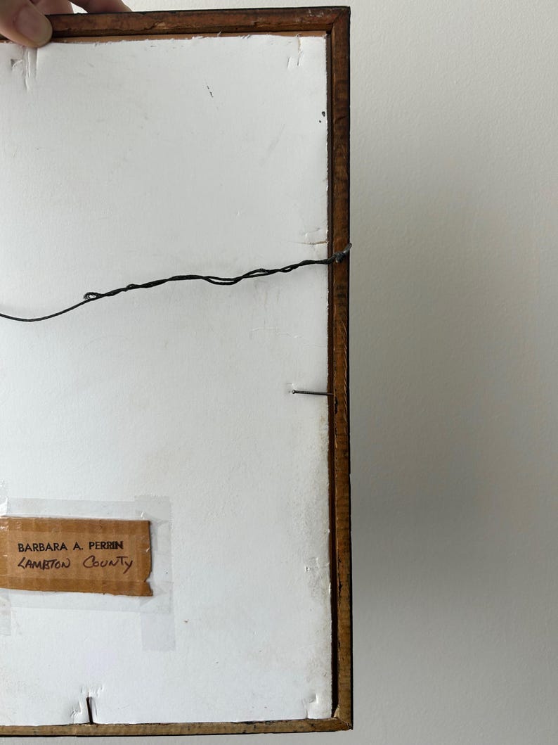 May include: Back of a framed artwork with a brown wooden frame. The artwork's backing is white with a black wire for hanging. A label with the text "BARBARA A. PERRIN" and "LAMBTON County" is attached.