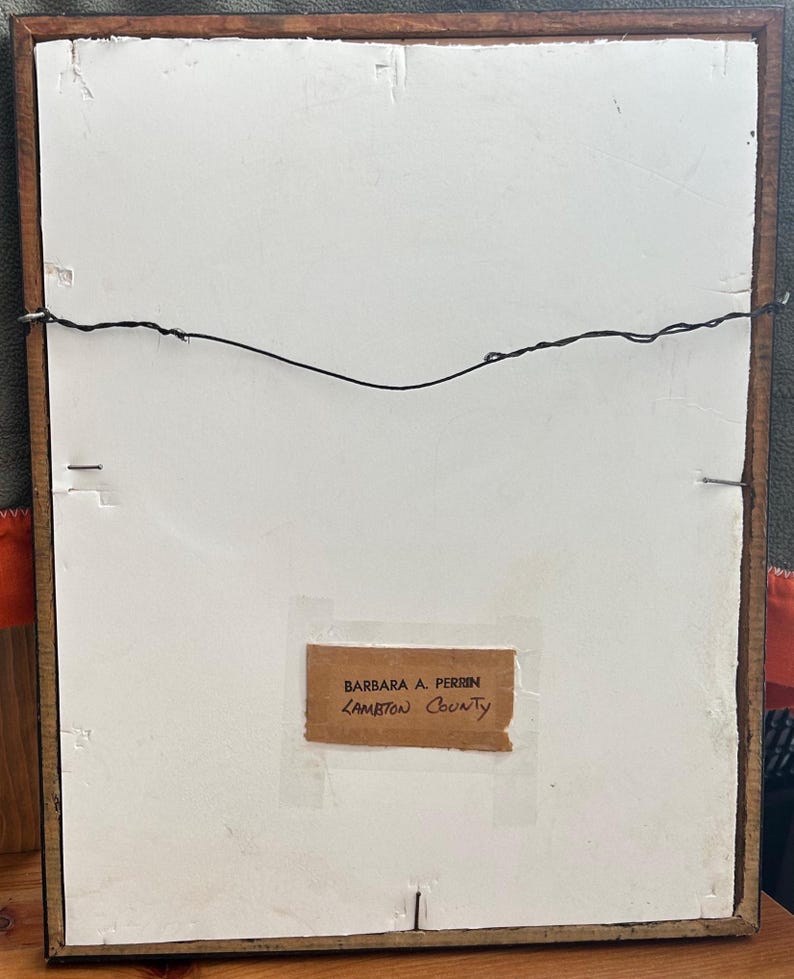 May include: Back of a framed artwork with a brown wooden frame. The artwork's backing is white with a label that reads "BARBARA A. PERRIN LAMBTON COUNTY". A black wire is strung across the back for hanging.