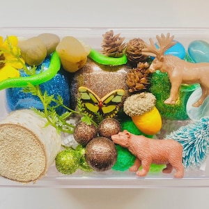 Forest Playdough Kit, Nature Playdough Kit, Sensory kit, Sensory bin, Playdoh kit, Play dough kit, Playdough kit, Sensory box, Play Doh