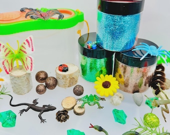 Nature Lovers Playdough Kit, Bug Playdough Kit, Nature Playdough Kit, Sensory kit, Sensory bin, Playdoh kit, Play dough kit, Outdoor Playdoh