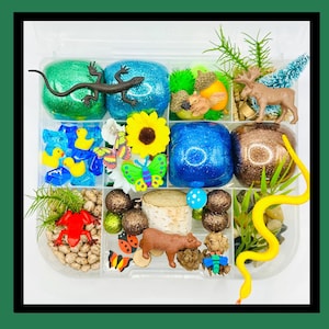 Forest Playdough Kit, Nature Playdough Kit, Woodland Playdough Kit, Camping Playdough Kit, Playdough Kit, Playdoh Kit, Sensory Kit, Sensory