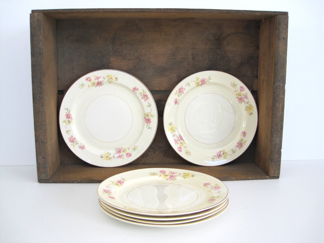 Vintage Dessert Plate Set Salad Appetizer Plates Wild Rose Etsy