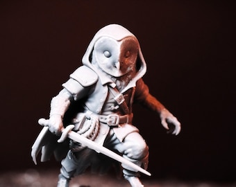 Owling knight miniature: D&D, Pathfinder, Fantasy 3d printed resin miniature