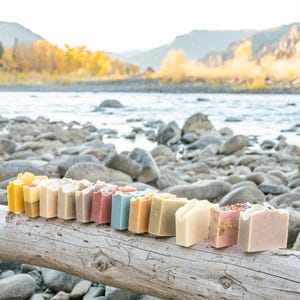 Op de afbeelding: Een verzameling handgemaakte zepen in diverse kleuren en texturen, gerangschikt op een verweerde boomstam. De zepen variëren van geel tot beige, sommige met ingebedde botanische elementen. Op de achtergrond een rivier en bergen.