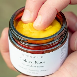 May include: A jar of Golden Root antioxidant balm by Edenwild. The balm is a vibrant yellow color and is being touched by a finger. The jar has a dark brown glass body with a white label that includes the product name and details. The jar contains 2 oz (57 g) of balm.