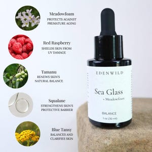 Pu&ograve; includere: Una bottiglia di vetro nero di siero per il viso Edenwild Sea Glass con contagocce. L'etichetta recita "Sea Glass + Meadowfoam BALANCE 1 oz (30 ml)". L'immagine mostra anche ingredienti: Meadowfoam, Red Raspberry, Tamanu, Squalane e Blue Tansy.