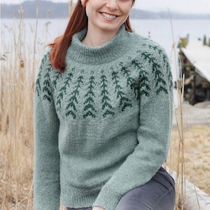 May include: A sage green knit sweater featuring a high ribbed collar and a dark green patterned yoke with a repeating tree-like motif. The long-sleeved garment has a textured knit construction and a straight hemline, providing a classic fit.