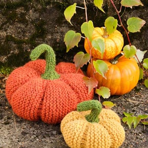 Könnte beinhalten: Zwei gestrickte Kürbisse mit grünen Stielen, ein großer orangefarbener und ein kleinerer gelber, platziert neben zwei natürlichen orangefarbenen Kürbissen und grünem Efeu. Die gestrickten Kürbisse haben ein strukturiertes Rippenmuster.