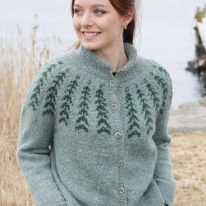 Könnte beinhalten: Eine salbeigrüne Strickjacke mit einem dunkelgrünen Tannenbaummuster an der Passe und am Kragen. Das Kleidungsstück hat einen gerippten Stehkragen, lange Ärmel mit gerippten Bündchen und eine vertikale Knopfleiste mit fünf runden Knöpfen.