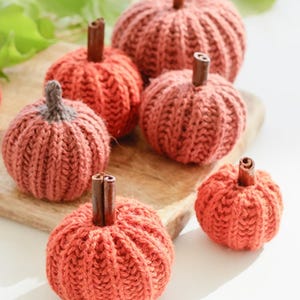 May include: A collection of five small, round, knitted pumpkins in shades of orange and rust. Each pumpkin features a ribbed texture and a stem made from a brown cinnamon stick, except for one which has a grey knitted stem.