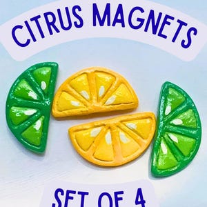 Citrus koelkastmagneten (set van 4) | Citroen en limoen keukenmagneten | Schattig koelkastdecor