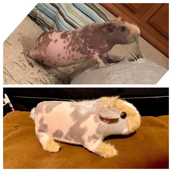 Custom Skinny Pig Hairless Guinea Pig Stuffed Animal Pet Replica Etsy Canada