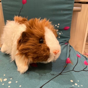 Custom Guinea Pig Stuffed Animal Pet Replica image 2