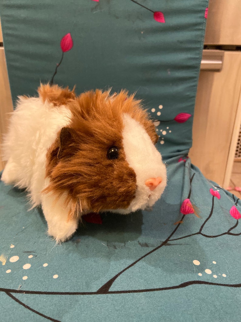 Custom Guinea Pig Stuffed Animal Pet Replica image 2