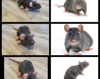 Ratte Kuscheltier Haustier Replik