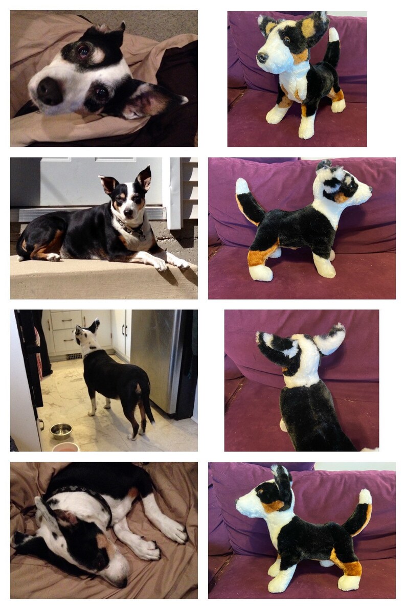 Custom Dog Stuffed Animal Pet Replica Etsy