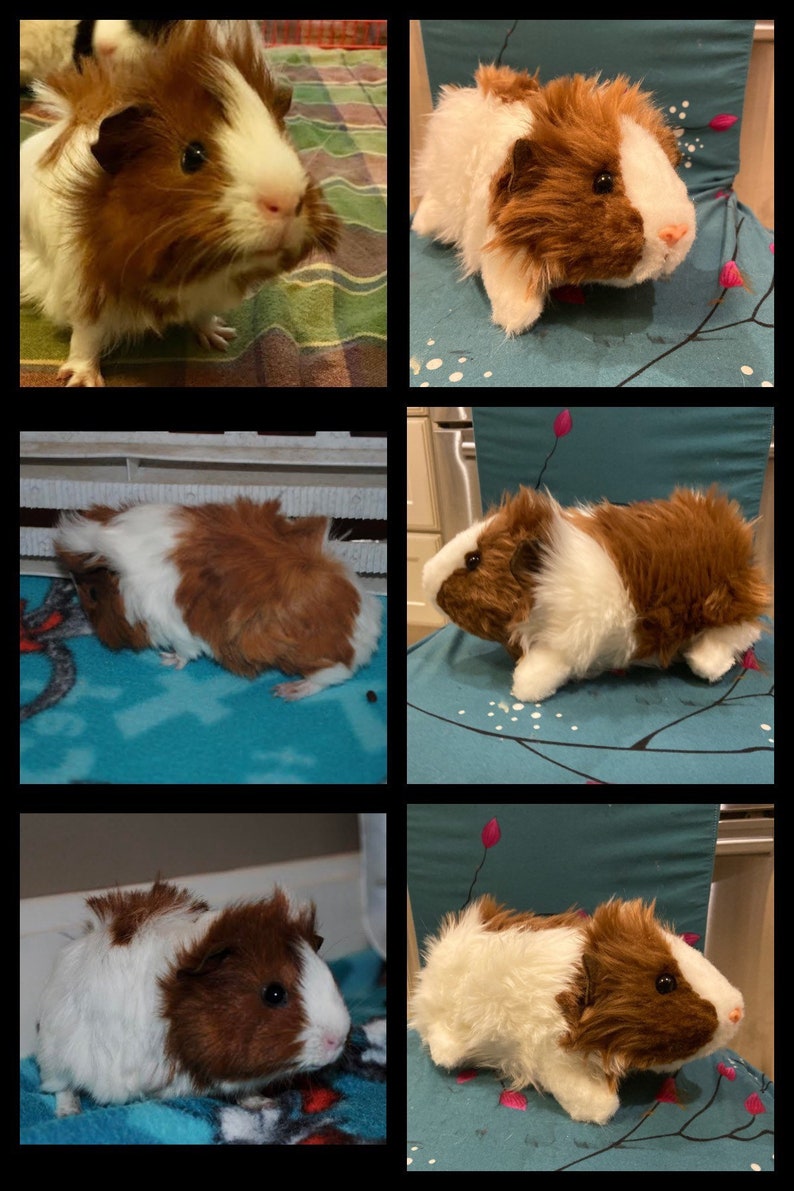 Custom Guinea Pig Stuffed Animal Pet Replica Etsy