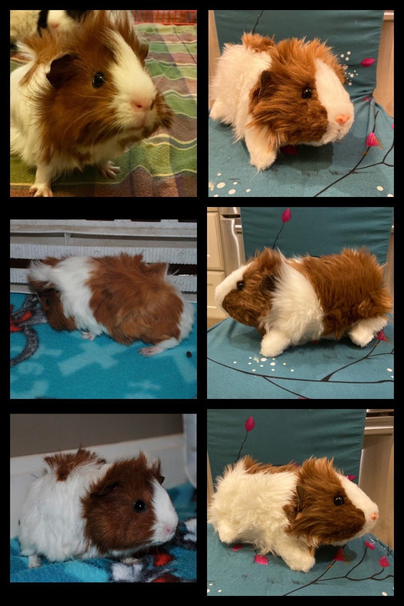 Custom Guinea Pig Stuffed Animal Pet Replica image 1