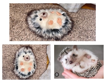 Igel Kuscheltier Haustier Replik
