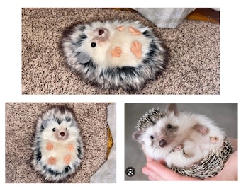 Custom Hedgehog Stuffed Animal Pet Replica