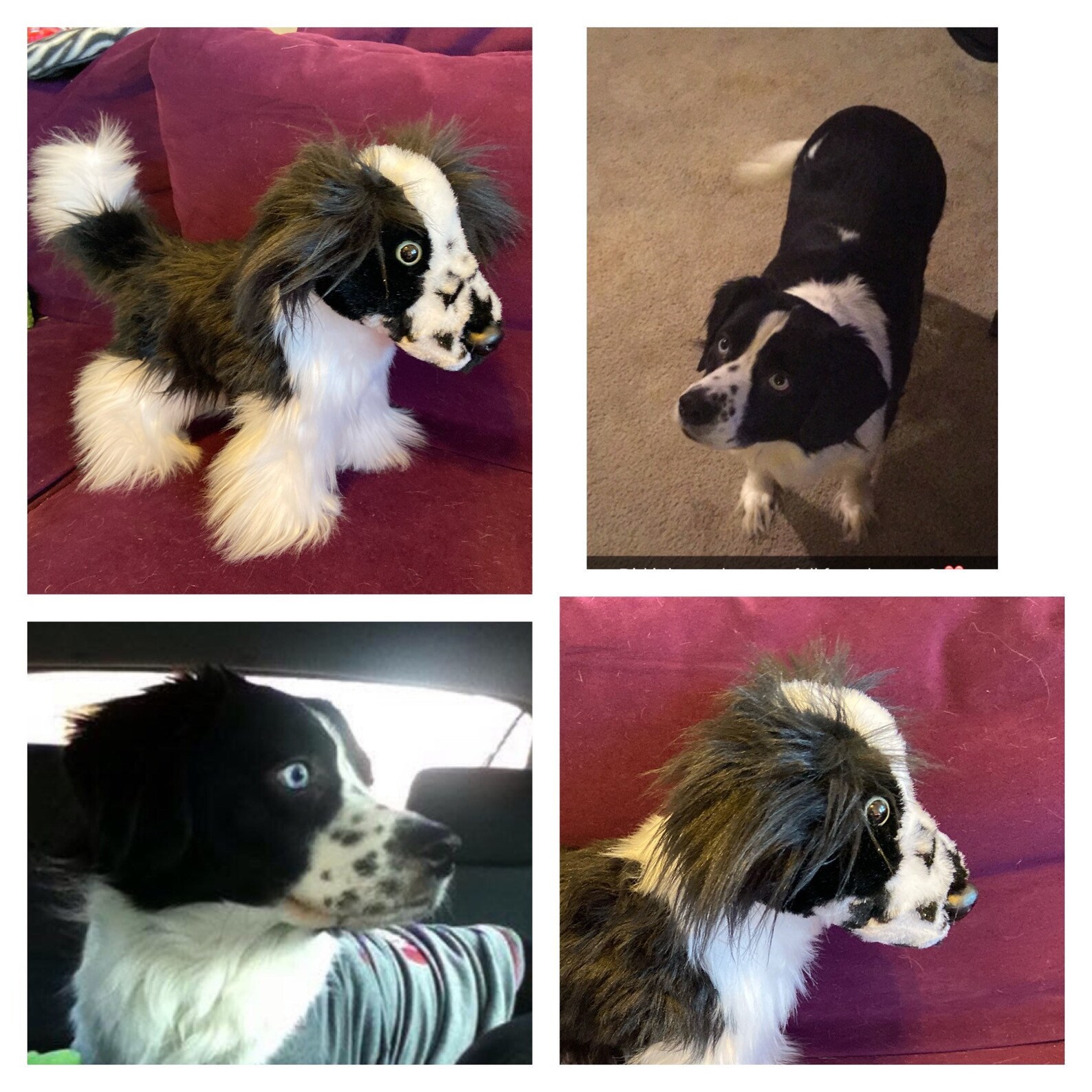 Custom Dog Stuffed Animal Pet Replica Etsy