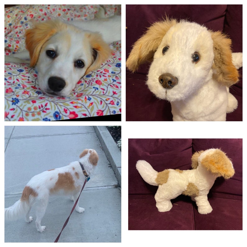 Custom Dog Stuffed Animal Pet Replica Etsy