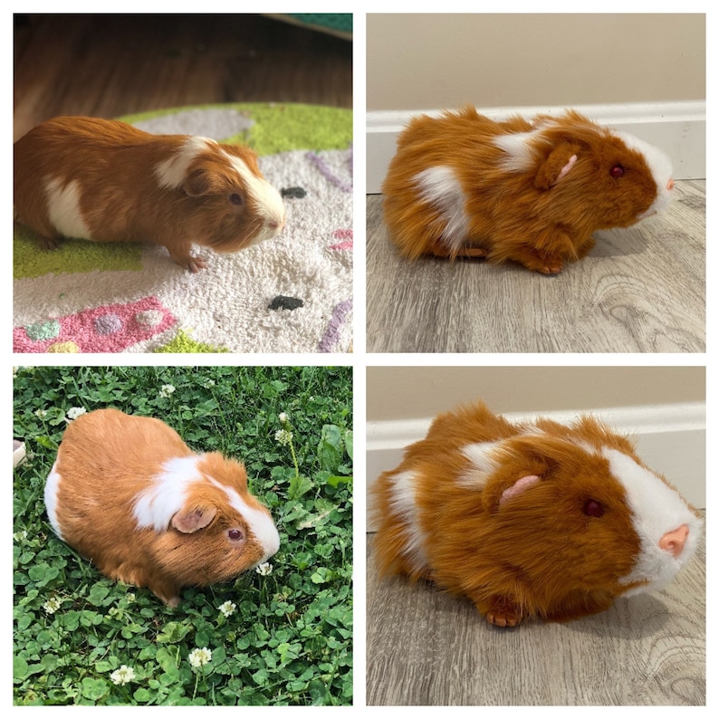 Custom Guinea Pig Stuffed Animal Pet Replica image 3