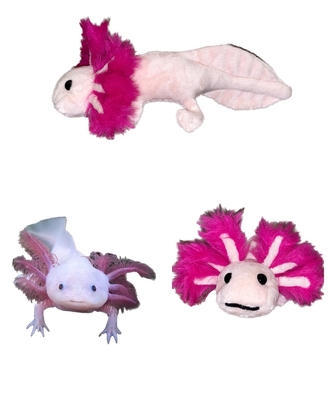 Custom Axolotl Stuffed Animal Pet Replica Etsy