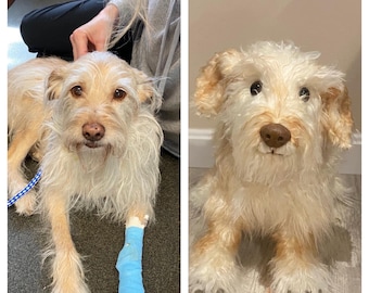Benutzerdefinierte Hund Plüschtier Haustier Replik