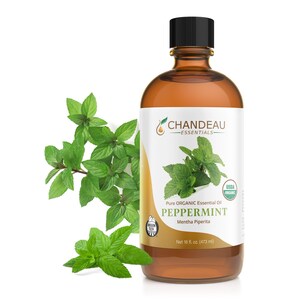 May include: A brown glass bottle with a black cap, labeled "PEPPERMINT" and "Pure ORGANIC Essential Oil." The bottle contains 16 fl oz (473 ml). Fresh green peppermint leaves are arranged beside the bottle. The brand name is "CHANDEAU Essentials."