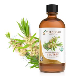 May include: A brown glass bottle of Chandeau Essentials Pure Organic Tea Tree Oil, 16 fl oz (473 ml), with a black cap. The label includes the USDA Organic seal and botanical illustrations. Green tea tree leaves and flowers are to the left.