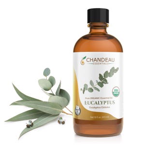 May include: A brown glass bottle of eucalyptus essential oil with a black cap, labeled "EUCALYPTUS" and "Pure ORGANIC Essential Oil." The bottle contains 16 fl oz (473 ml). Eucalyptus leaves and buds are to the left.