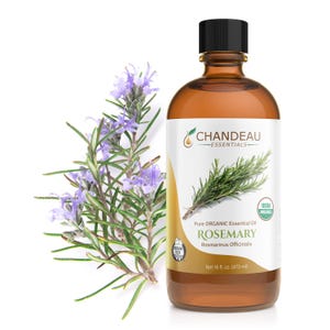 May include: A brown glass bottle of rosemary essential oil with a black cap, labeled "CHANDEAU ESSENTIALS". A sprig of rosemary with purple flowers is to the left. The label reads "Pure ORGANIC Essential Oil ROSEMARY Rosmarinus Officinalis" and "Net 16 fl oz. (473 ml)".