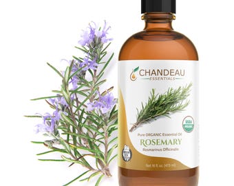 Organic Rosemary Essential Oil: 16 oz Pure Cold-Pressed, Aromatherapy Grade