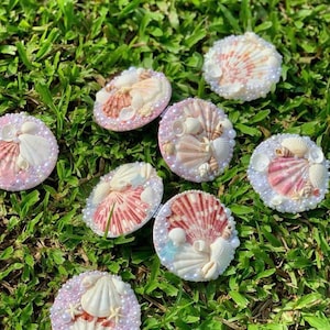May include: A collection of seashell embellishments, each featuring a variety of shells in shades of pink, white, and cream, accented with small pearls. The shells are arranged on a bed of green grass, creating a coastal theme.
