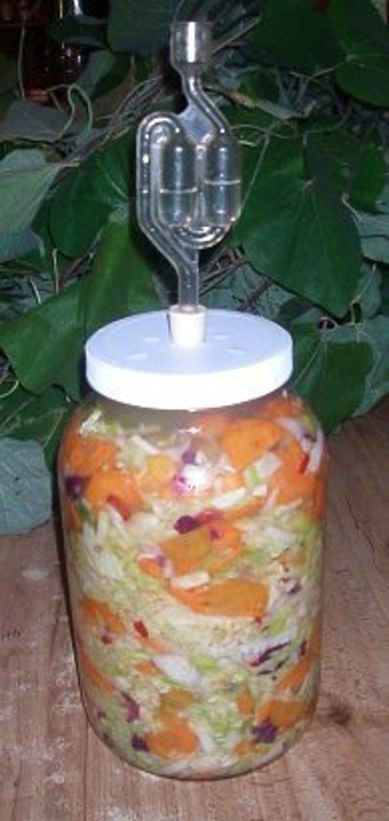 The Pickle Meister Glass Fermentation / Sauerkraut Jar 1gal image 2