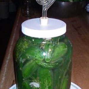 The Pickle Meister Glass Fermentation / Sauerkraut Jar 1gal image 1