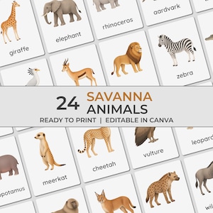 May include: A collection of white rectangular cards featuring illustrations of savanna animals including a giraffe, elephant, rhinoceros, lion, zebra, meerkat, cheetah, vulture, and hyena, with the text 24 SAVANNA ANIMALS READY TO PRINT | EDITABLE IN CANVA.