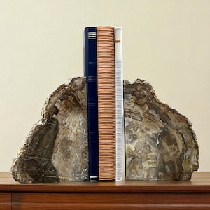 Versteinertes Holz Buchstützen: Poliertes Fossil Decor, Unikat