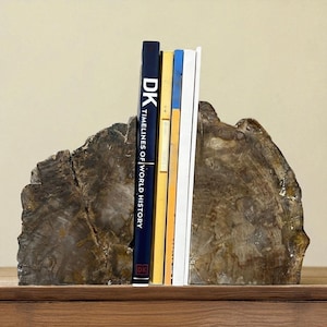 Versteinertes Holz Buchstützen: Fossil Decor, Unikat