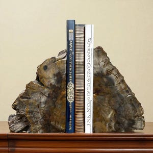 Polierte versteinerte Holz Buchstützen: Fossil Art Decor, Unikat