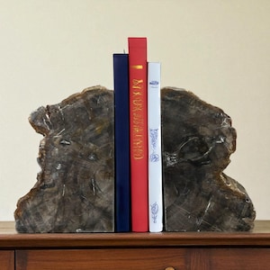 Vintage Versteinertes Holz Buchstützen: Poliertes Fossil Stein Paar