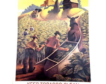 Vintage Lot Of 11 "Keep Tobacco Clean" Tobacco Picking 12"X16" Posters