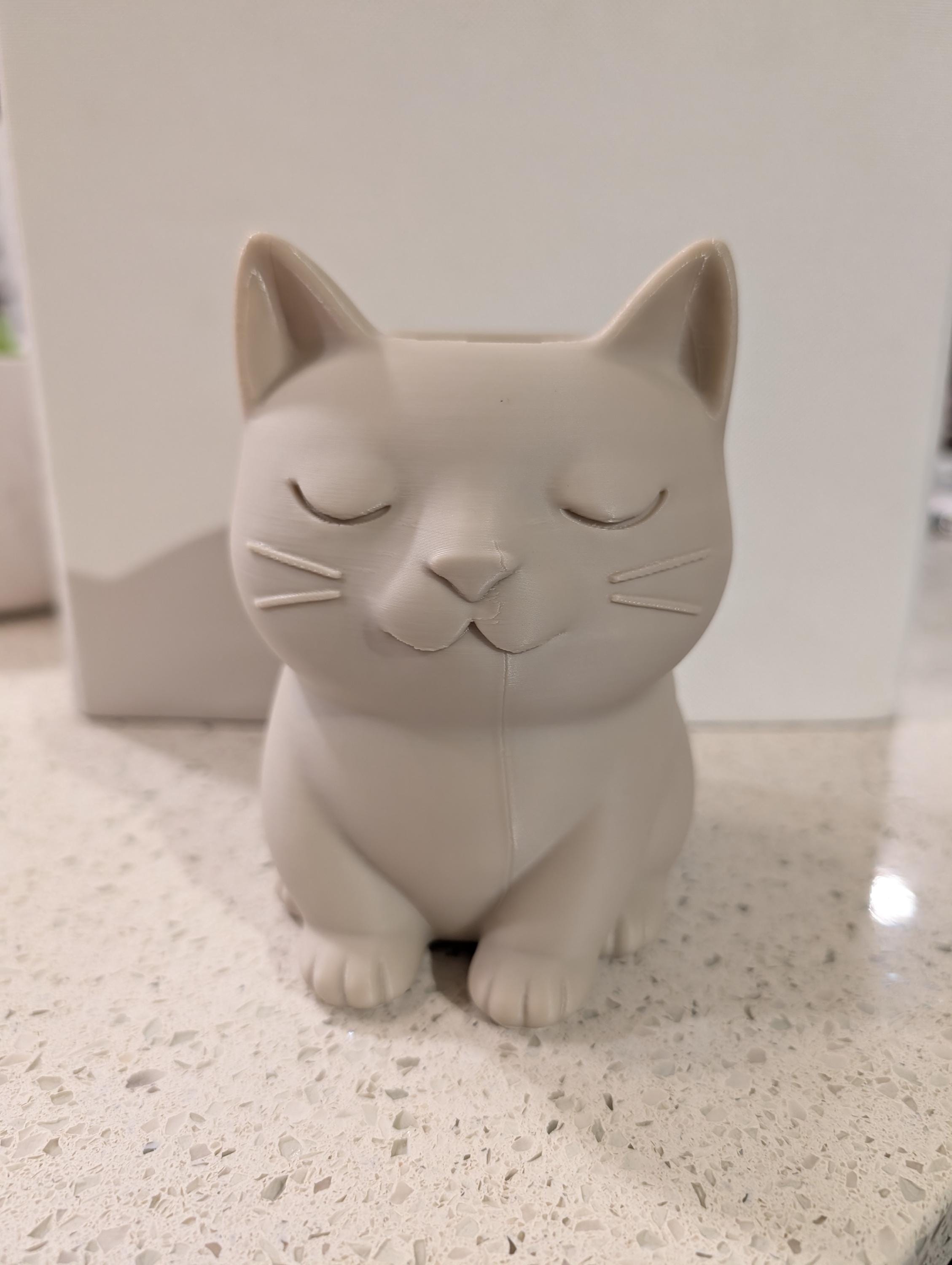 Sleepy Cat Pot Holder - Etsy