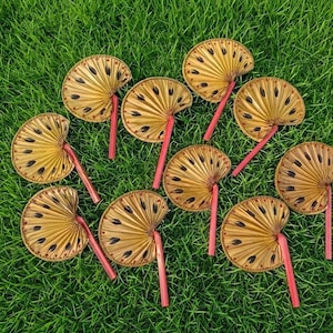 May include: A collection of nine small, hand-held fans with a semi-circular shape. The fans have a light brown, woven design with black accents and red handles. They are arranged on a bed of green grass.