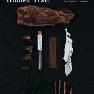Sandelträ Agarwood Rökelsepinnar: 2 dofter, Träig avslappnande arom för meditation och yoga bild 8