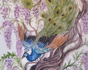 Peacock and blooming wisteria vines art print- bird and purple floral watercolor painting
