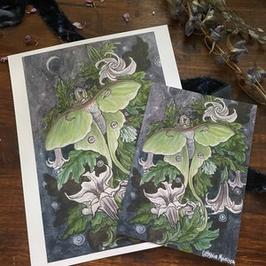 Art print luna moth and datura flowers moon night stars drawing dark watercolor wall decor home decor